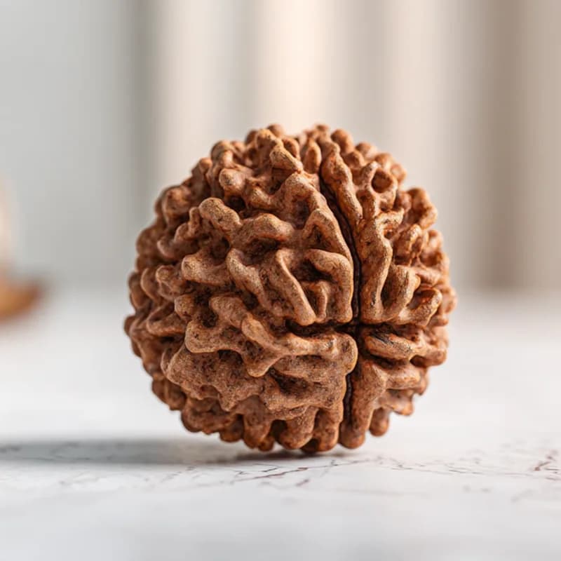 Authentic sacred Rudraksha beads on warm linen